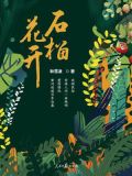 石榴花开