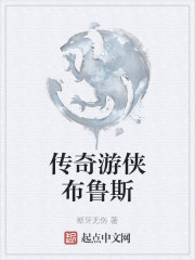 传奇游侠布鲁斯