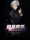 极品高手在身边