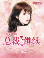 鲜妻甜辣辣:总裁,继续
