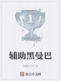 辅助黑曼巴