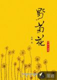 野菊花