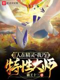 神奇宝贝:我乃特性大师