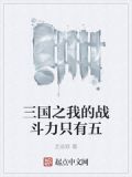三国之我的战斗力只有五