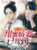 第一宠婚:甜蜜娇妻已驾到