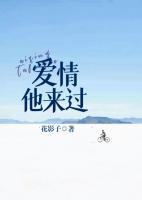 爱情,他来过