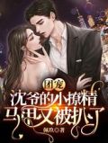 团宠:沈爷的小撩精马甲又被扒了免费全文阅读