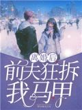 离婚后,前夫狂拆我马甲