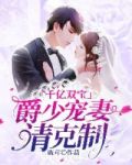千亿双宝:爵少宠妻请克制