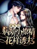 重生后,病娇小撩精每天花样诱夫