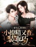 重生后,墨爷的小撩精又在装乖巧