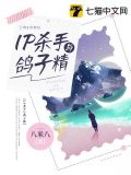 IP杀手与鸽子精