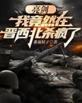 亮剑:我竟然在晋西北杀疯了