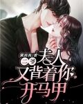 二爷,夫人又背着你开马甲