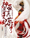 王爷受伤后神医王妃带兵出征了