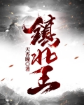 镇北王