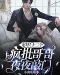 宠坏!十二个疯批哥哥夜夜敲门
