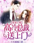 宠妻上瘾,高冷总裁送上门