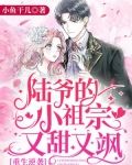 重生逆袭:陆爷的小祖宗又甜又飒