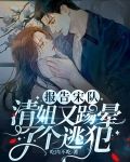 报告宋队,清姐又脚踢晕了个逃犯