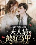 闪婚残疾总裁:夫人请披好马甲!
