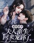 霸情慕少,夫人重生回来宠你了