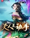 夫人莫动手