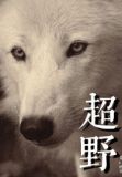 超野