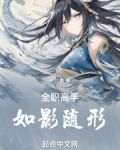 全职高手:如影随形