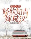 重生八零娇软知青嫁糙汉