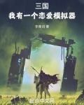 三国:我有一个恋爱模拟器