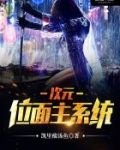 次元位面主系统新笔趣阁