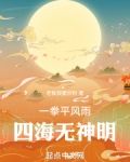 一拳平风雨,四海无神明