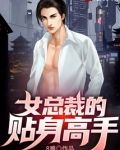 女总裁的贴身高手