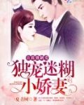 首席强制爱:独宠迷糊小娇妻